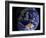 Full Earth from Space Showing Australia-Stocktrek Images-Framed Photographic Print