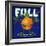 Full Florida Citrus-null-Framed Giclee Print