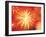 Full Frame of Exploding Fireworks-null-Framed Photographic Print