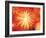 Full Frame of Exploding Fireworks-null-Framed Photographic Print