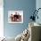 Full House-null-Framed Photo displayed on a wall