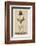 Full Length Illustration of W G Grace-Spy (Leslie M. Ward)-Framed Photographic Print