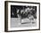 Full-Length Side View of Collie "Lassie"-null-Framed Photographic Print