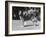 Full-Length Side View of Collie "Lassie"-null-Framed Photographic Print