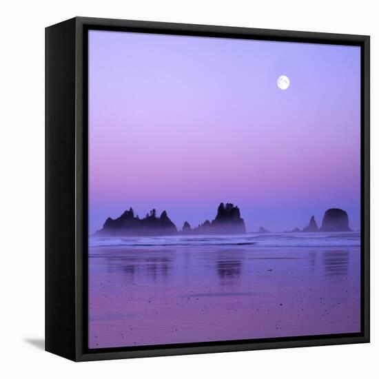 Full moon above seastacks, Olympic National Park, Washington, USA-Charles Gurche-Framed Premier Image Canvas