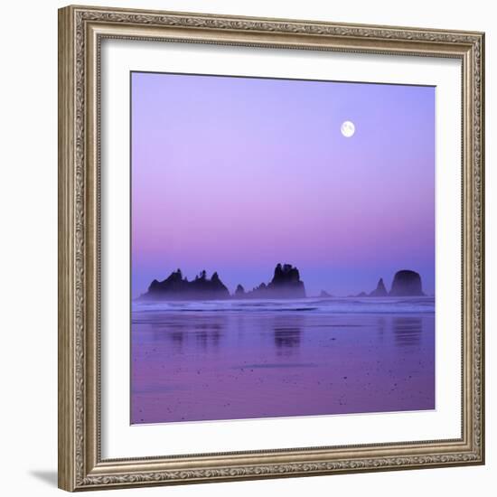 Full moon above seastacks, Olympic National Park, Washington, USA-Charles Gurche-Framed Photographic Print