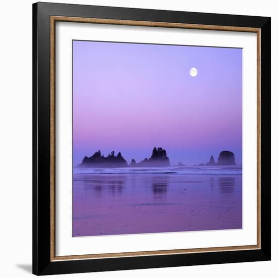 Full moon above seastacks, Olympic National Park, Washington, USA-Charles Gurche-Framed Photographic Print