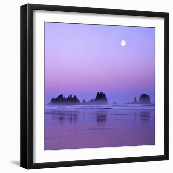 Full moon above seastacks, Olympic National Park, Washington, USA-Charles Gurche-Framed Photographic Print