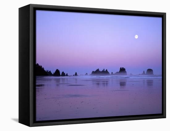 Full moon above seastacks, Olympic National Park, Washington, USA-Charles Gurche-Framed Premier Image Canvas