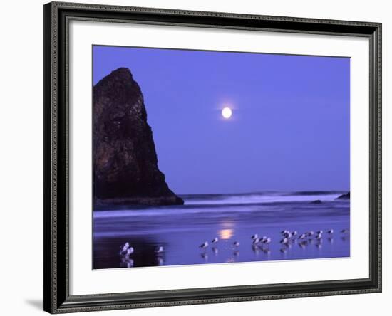 Full Moon and Seagulls at Sunrise, Cannon Beach, Oregon, USA-Janell Davidson-Framed Photographic Print