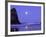 Full Moon and Seagulls at Sunrise, Cannon Beach, Oregon, USA-Janell Davidson-Framed Photographic Print