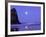 Full Moon and Seagulls at Sunrise, Cannon Beach, Oregon, USA-Janell Davidson-Framed Photographic Print