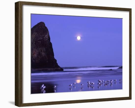 Full Moon and Seagulls at Sunrise, Cannon Beach, Oregon, USA-Janell Davidson-Framed Photographic Print