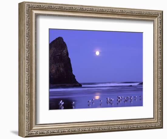 Full Moon and Seagulls at Sunrise, Cannon Beach, Oregon, USA-Janell Davidson-Framed Photographic Print