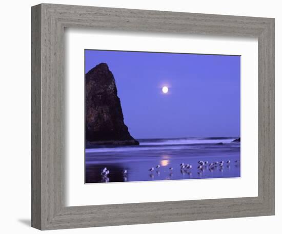 Full Moon and Seagulls at Sunrise, Cannon Beach, Oregon, USA-Janell Davidson-Framed Photographic Print