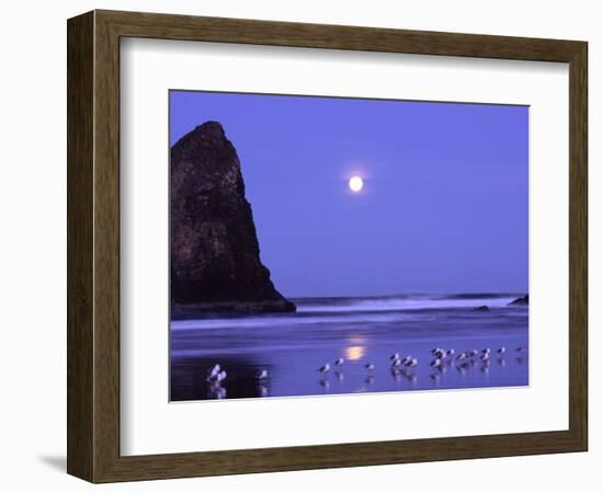 Full Moon and Seagulls at Sunrise, Cannon Beach, Oregon, USA-Janell Davidson-Framed Photographic Print