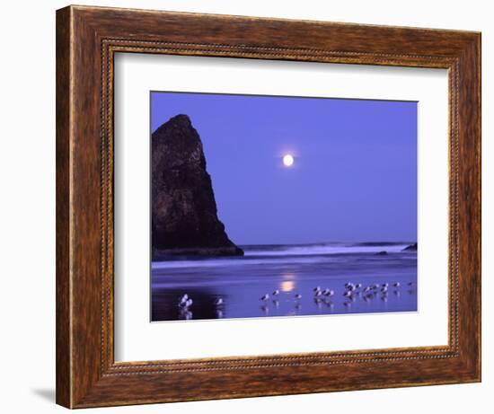 Full Moon and Seagulls at Sunrise, Cannon Beach, Oregon, USA-Janell Davidson-Framed Photographic Print