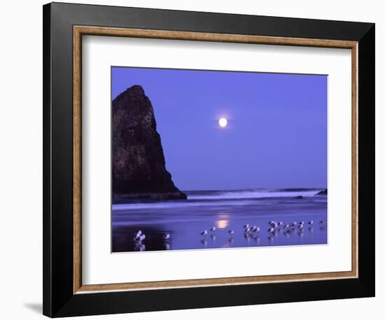 Full Moon and Seagulls at Sunrise, Cannon Beach, Oregon, USA-Janell Davidson-Framed Photographic Print