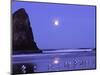Full Moon and Seagulls at Sunrise, Cannon Beach, Oregon, USA-Janell Davidson-Mounted Photographic Print
