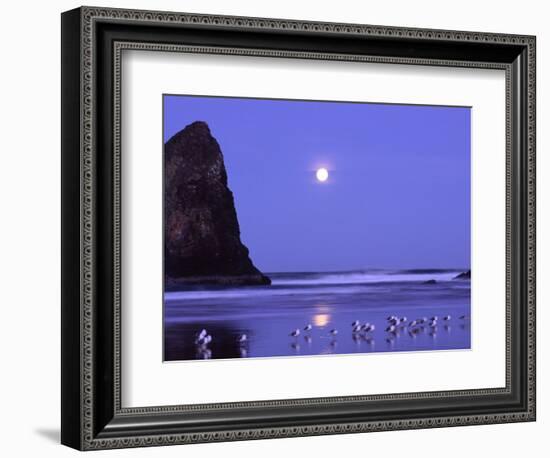 Full Moon and Seagulls at Sunrise, Cannon Beach, Oregon, USA-Janell Davidson-Framed Photographic Print