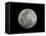 Full Moon in Black and White-Arthur Morris-Framed Premier Image Canvas
