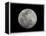 Full Moon in Black and White-Arthur Morris-Framed Premier Image Canvas