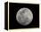 Full Moon in Black and White-Arthur Morris-Framed Premier Image Canvas