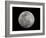 Full Moon in Black and White-Arthur Morris-Framed Photographic Print