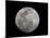 Full Moon in Black and White-Arthur Morris-Mounted Photographic Print
