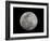 Full Moon in Black and White-Arthur Morris-Framed Photographic Print