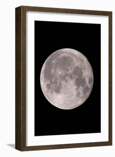 Full Moon In the Night Sky-David Nunuk-Framed Photographic Print