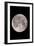 Full Moon In the Night Sky-David Nunuk-Framed Photographic Print