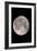 Full Moon In the Night Sky-David Nunuk-Framed Photographic Print