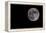 Full Moon Isolated on a Black Sky-Steve Collender-Framed Premier Image Canvas