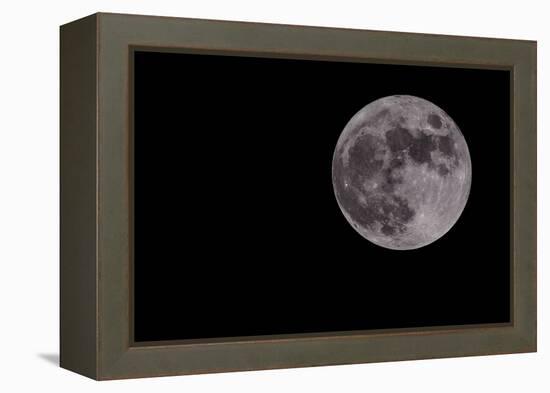 Full Moon Isolated on a Black Sky-Steve Collender-Framed Premier Image Canvas