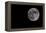 Full Moon Isolated on a Black Sky-Steve Collender-Framed Premier Image Canvas
