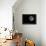 Full Moon Isolated on a Black Sky-Steve Collender-Framed Premier Image Canvas displayed on a wall
