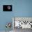 Full Moon Isolated on a Black Sky-Steve Collender-Framed Premier Image Canvas displayed on a wall