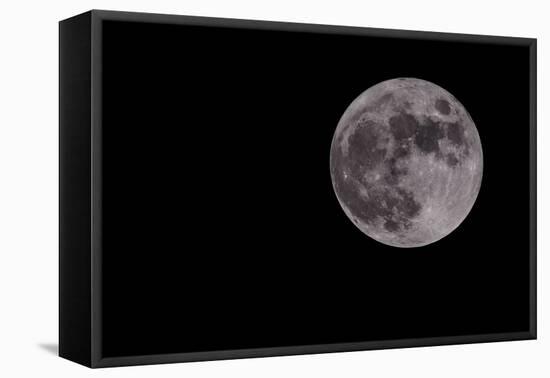 Full Moon Isolated on a Black Sky-Steve Collender-Framed Premier Image Canvas