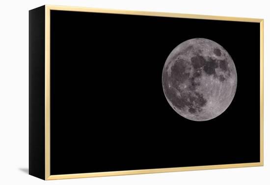 Full Moon Isolated on a Black Sky-Steve Collender-Framed Premier Image Canvas