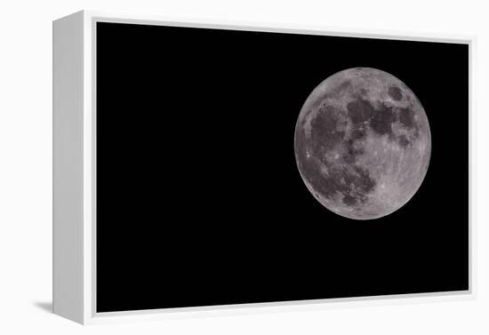 Full Moon Isolated on a Black Sky-Steve Collender-Framed Premier Image Canvas