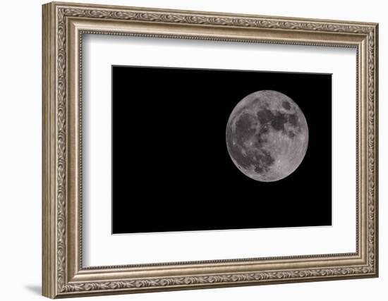 Full Moon Isolated on a Black Sky-Steve Collender-Framed Photographic Print