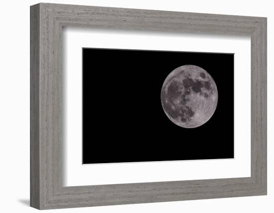 Full Moon Isolated on a Black Sky-Steve Collender-Framed Photographic Print