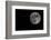 Full Moon Isolated on a Black Sky-Steve Collender-Framed Photographic Print