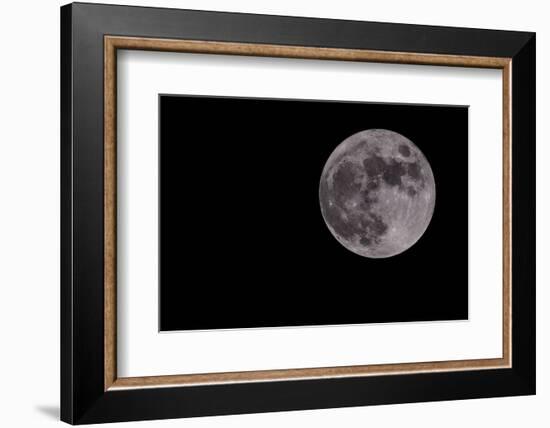 Full Moon Isolated on a Black Sky-Steve Collender-Framed Photographic Print