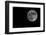 Full Moon Isolated on a Black Sky-Steve Collender-Framed Photographic Print