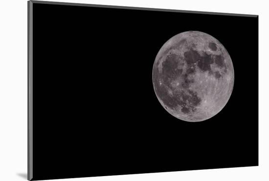 Full Moon Isolated on a Black Sky-Steve Collender-Mounted Photographic Print
