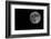 Full Moon Isolated on a Black Sky-Steve Collender-Framed Photographic Print