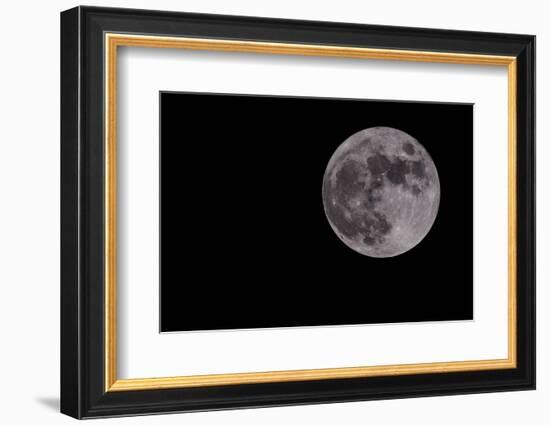 Full Moon Isolated on a Black Sky-Steve Collender-Framed Photographic Print