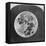 Full Moon, Late 19th or Early 20th Century-null-Framed Premier Image Canvas